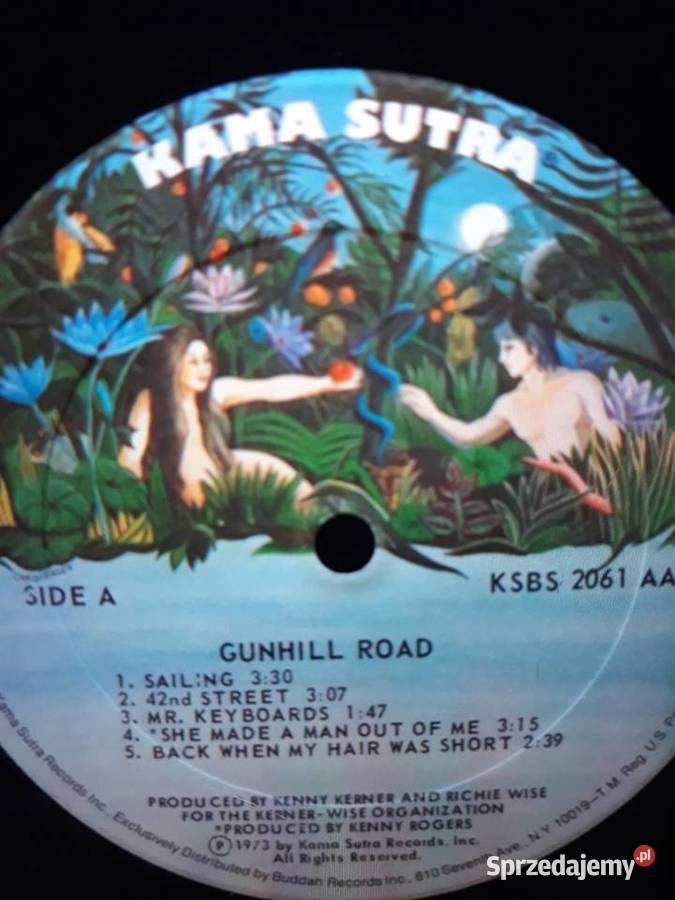 Biały kruk na czarnym winylu GUNHILL ROAD