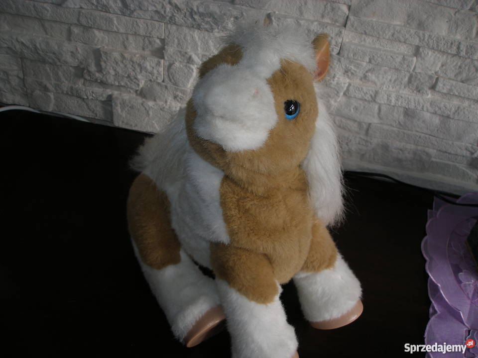 Interaktywny źrebaczek OKAZJA Suwałki