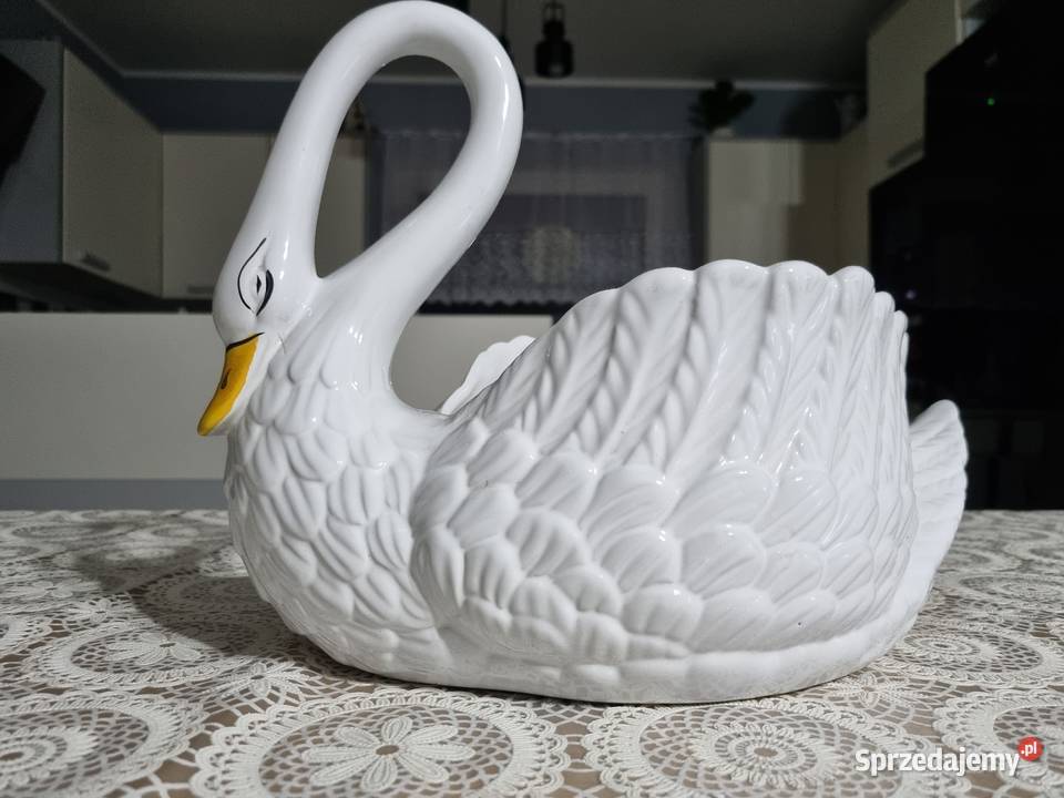 Wielki łabędź osłonka Wola Podłężna