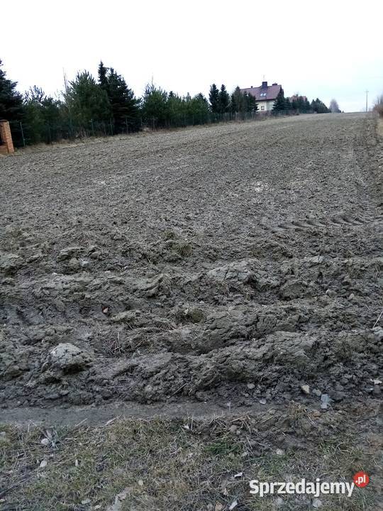 DZIAŁKA BUDOWLANA 71 arów lubelskie Łuszczów Drugi