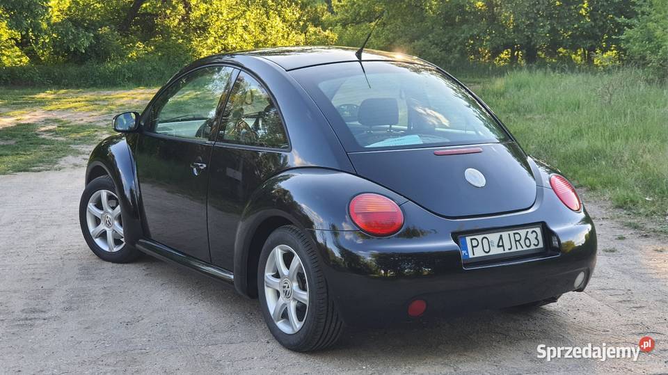 Volkswagen Beetle Garbus Motoryzacja Poznań