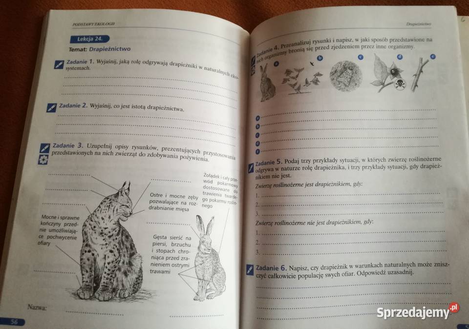 Ciekawa biologia zeszyt ćwiczeń część 3 Rok wydania 2003 Łódź