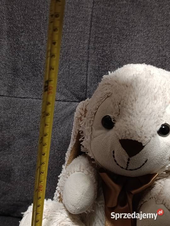 pluszowa maskotka królika Poznań