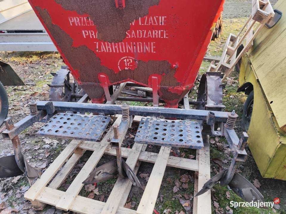 Sadzarka do ziemniaków nieuszkodzony lubuskie Dąbie