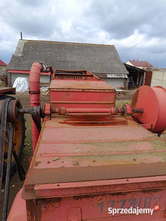 Maszyna do czyszczenia zboża Pozostałe Małogoszcz