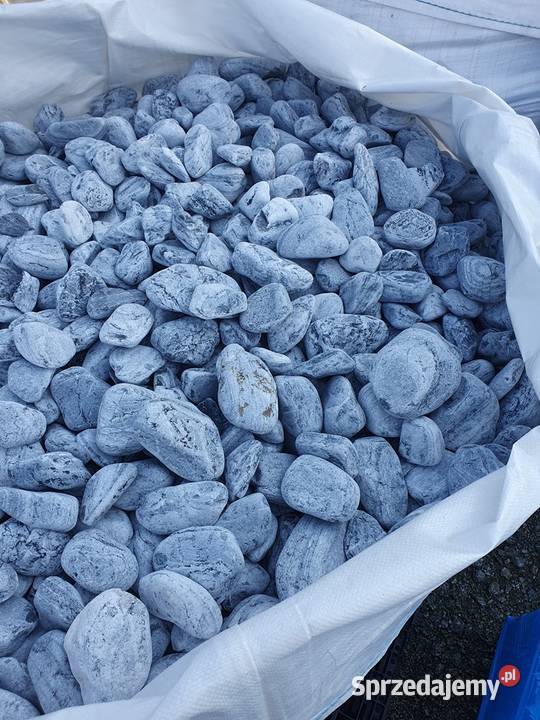 OTOCZAK BŁĘKITNY OTOCZAK DO PLATINUM OZDOBNY Bielawa