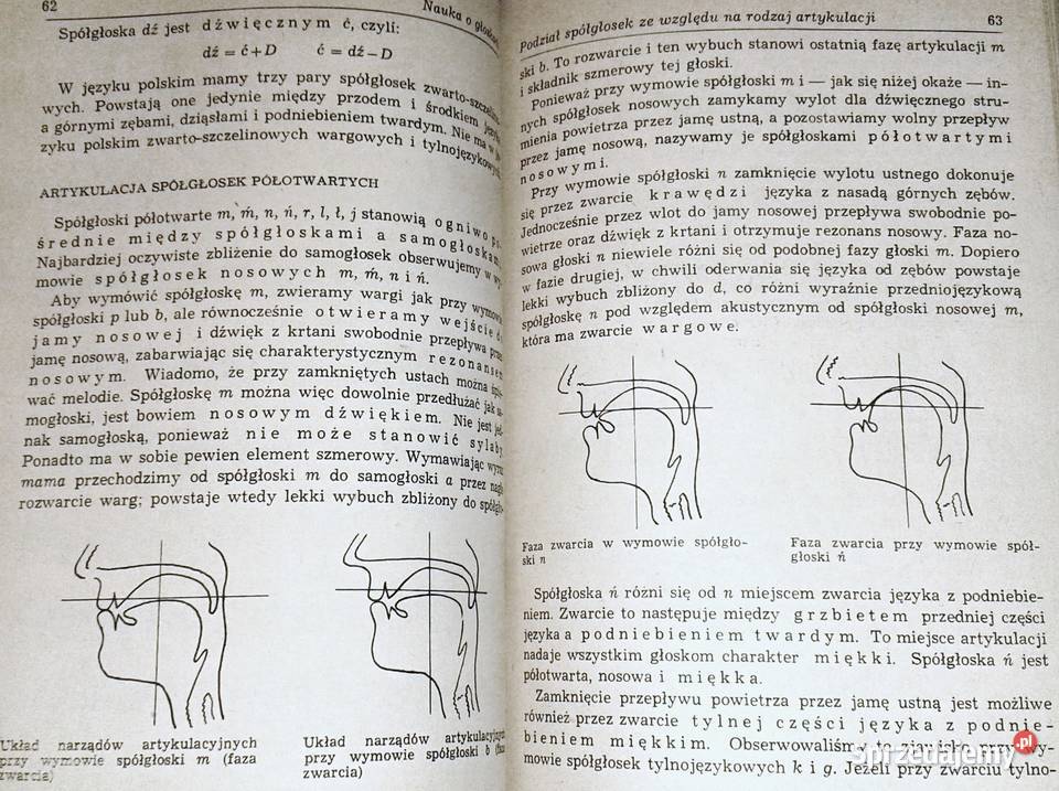 Gramatyka języka polskiego Zarys popularny Piotr sprzedam