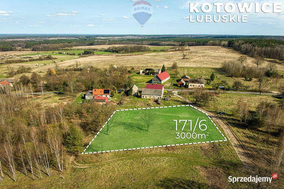 Działka w Kotowicach z warunkami zabudowy 3000m2 Kotowice