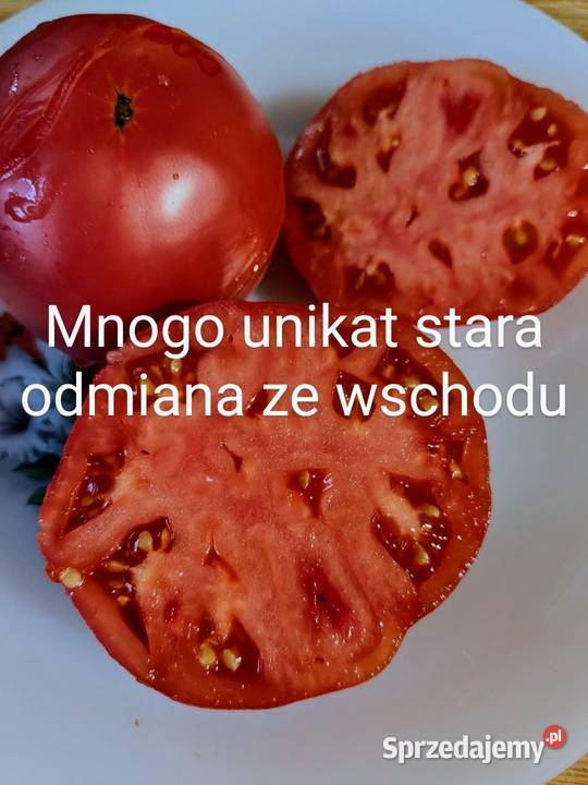 Oxheart Tigirella tygrys paskowa i stara odmiana Kraków sprzedam