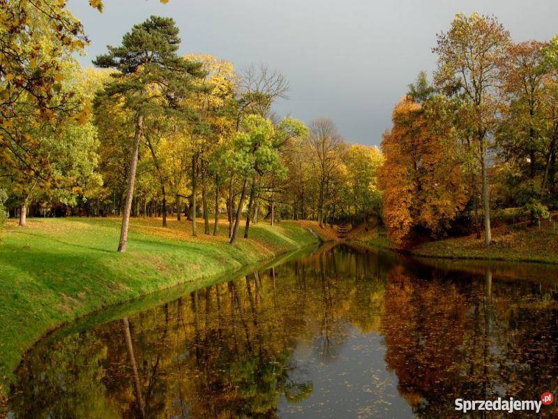 Zamienię mieszkanie w Skierniewicach remoncie oddzielna kuchnia Skierniewice sprzedam