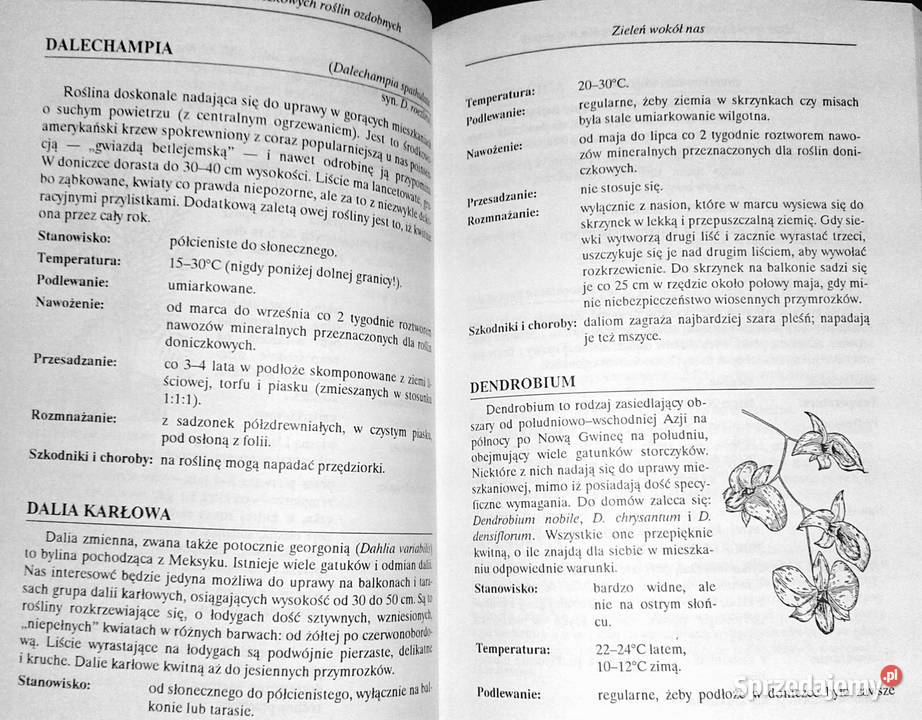 Mała encyklopedia doniczkowych roślin ozdobnych miękka Chełm
