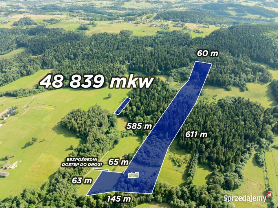 Siedlisko Pisarzowa prawie 5 ha