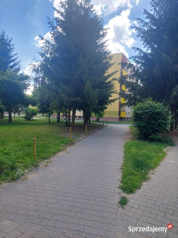 Sprzedam mieszkanie w Łęcznej Rok budowy 1985 Łęczna