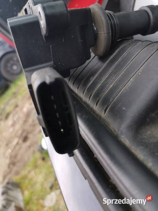 Cewka zapłonowa Zafira a Czerwionka-Leszczyny