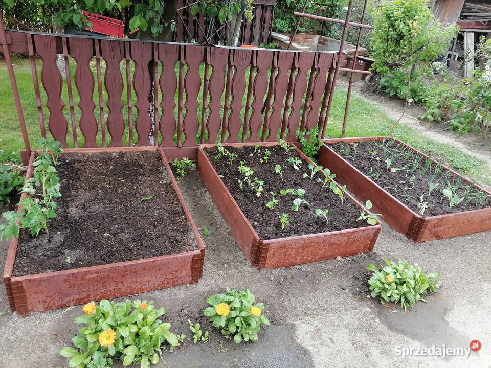 Działka rekreacyjnaogródek działkowy śląskie