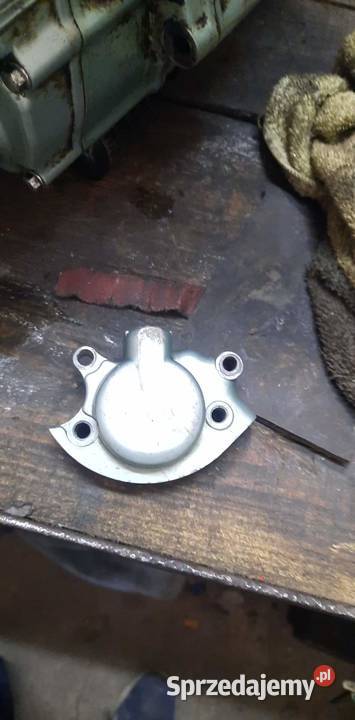 Silnik bashan kingway quad 250 cross 250 150 Włoszczowa