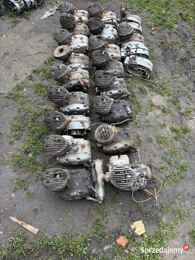 Danuvia silniki 19 sztuk