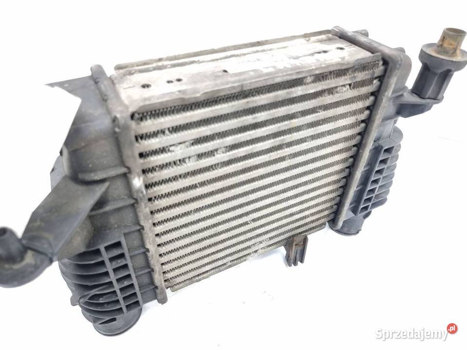INTERCOOLER RENAULT CLIO III 8200471885B kujawsko-pomorskie sprzedam