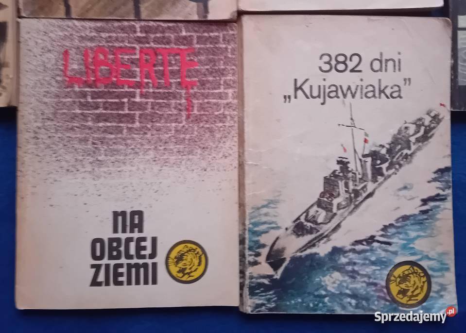 Zestaw 10 książeczek z serii Żółty Tygrys Lata
