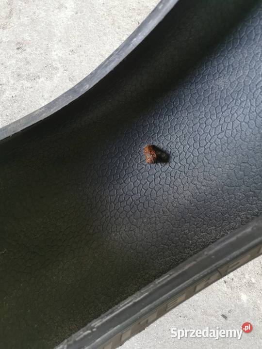 Opona motocyklowa 190 55 zr17 Rok produkcji 2009 łódzkie