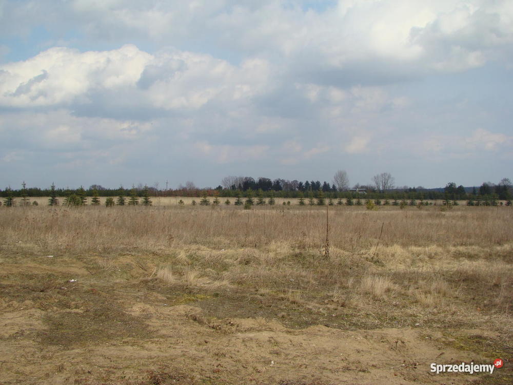 Działkę Dzierżenin woj maz mazowieckie Dzierżenin