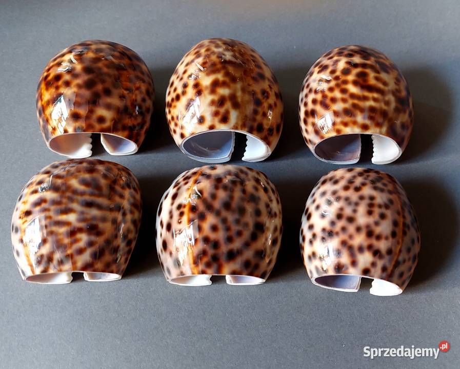 Pierścienie do serwetek na stół proste Lublin