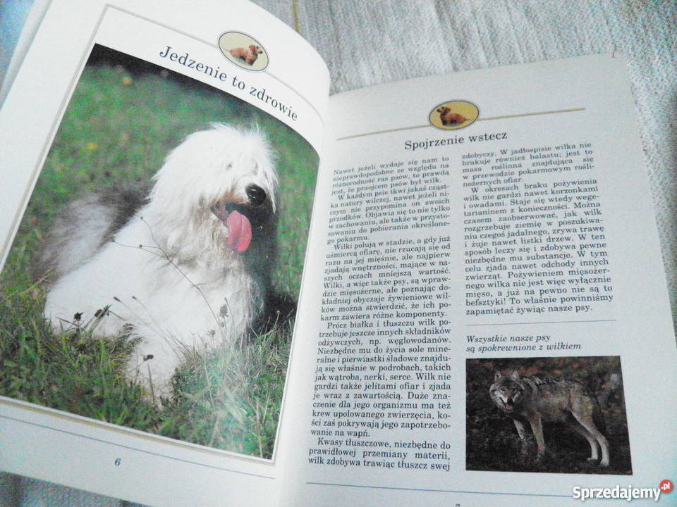 Eva Maria Bartenschlager Zdrowe żywienie psów Mińsk Mazowiecki