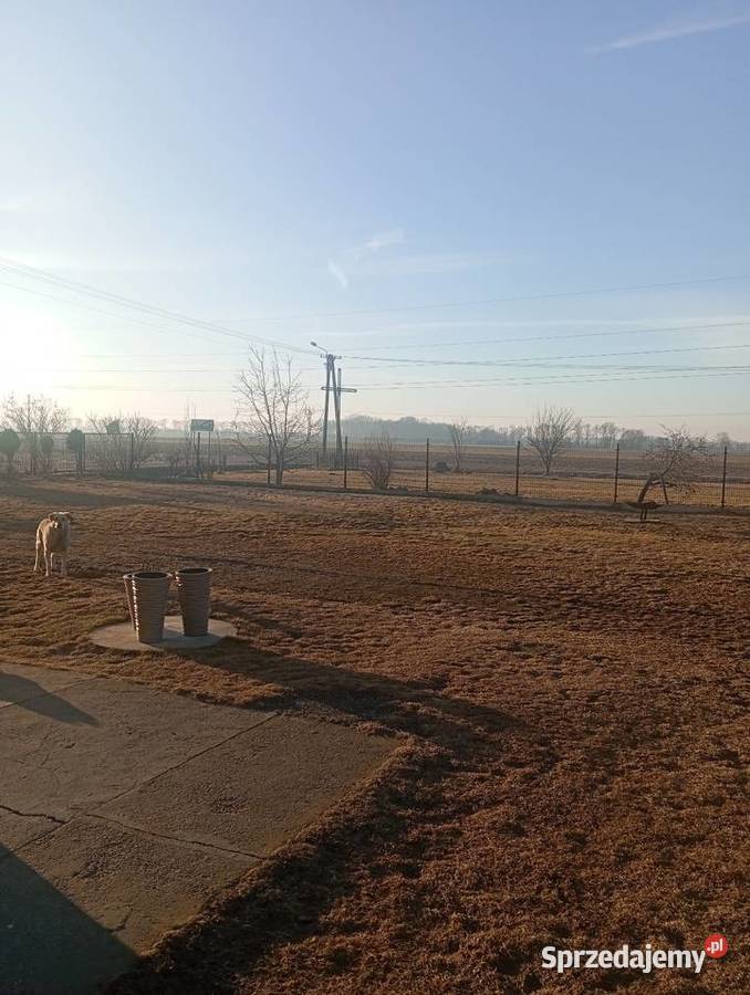 DUŻY DOM 278 m LUBIEŃ POWIAT ŁĘCZYCKIIDEALNY POD Sprzedaż Lubień