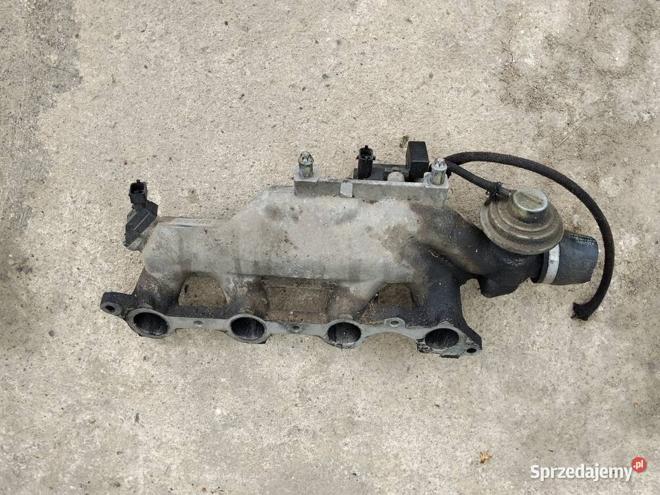 Kolektor ssący opel 17Dtl Hrubieszów