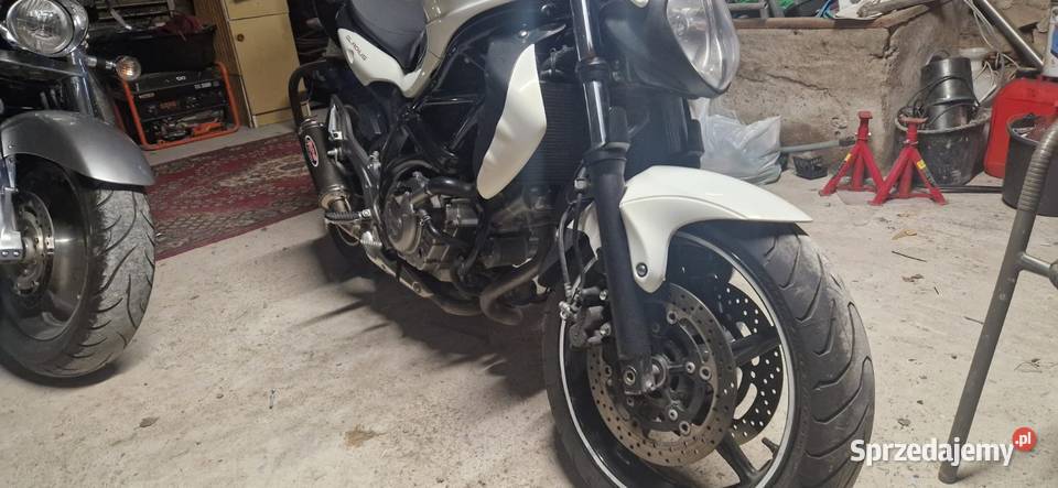 Suzuki gladius 650