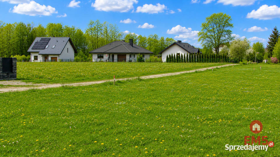 Działka 1000m2 Tołcze sprzedam