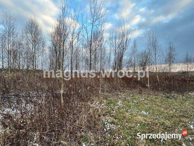 Oferuję działke rolną Bystrzycą w Jerzmanowie 49zł/m2 Wrocław