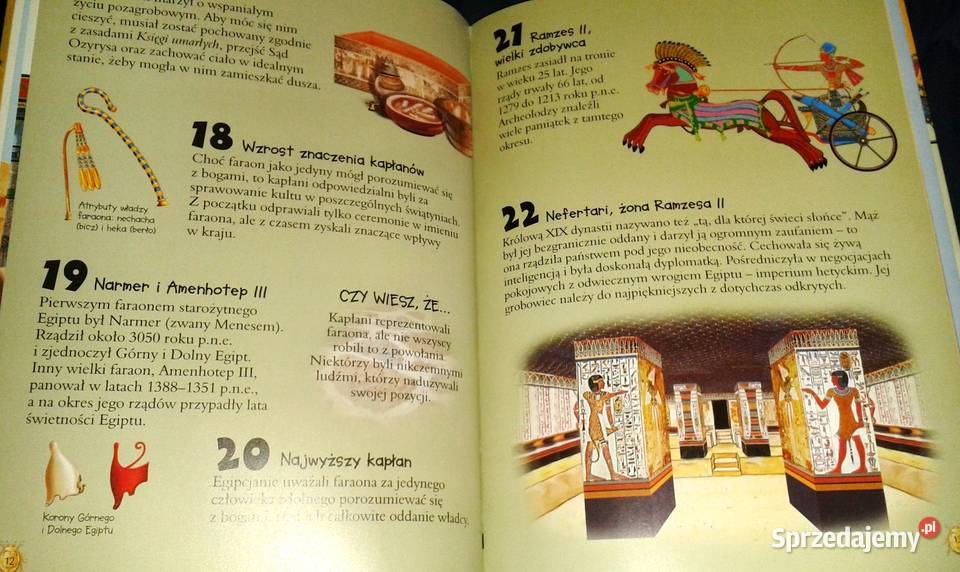 101 ciekawostek Starożytny Egipt Niko Dominiguez Pozostałe lubelskie Chełm