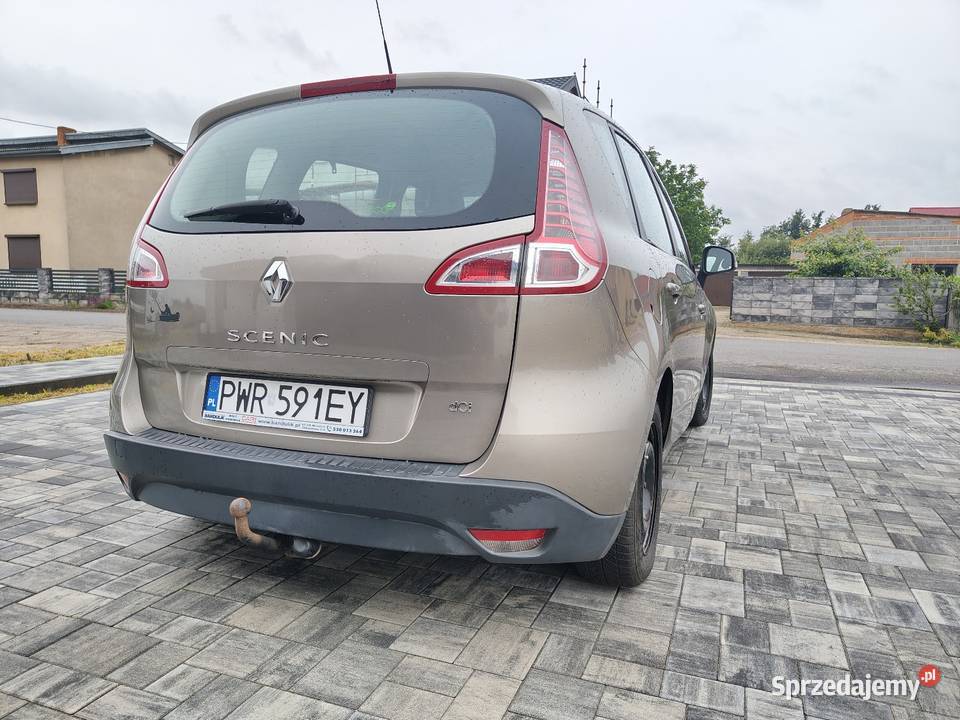 Renault scenic wielkopolskie
