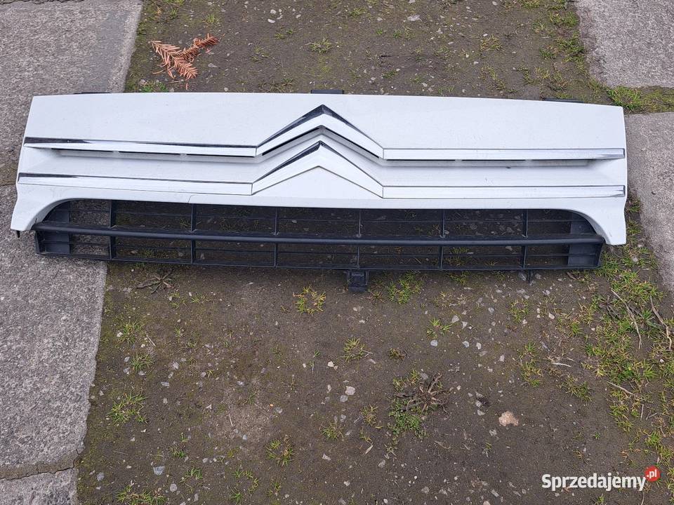 Grill atrapa zderzaka Citron Jumpy Motoryzacja