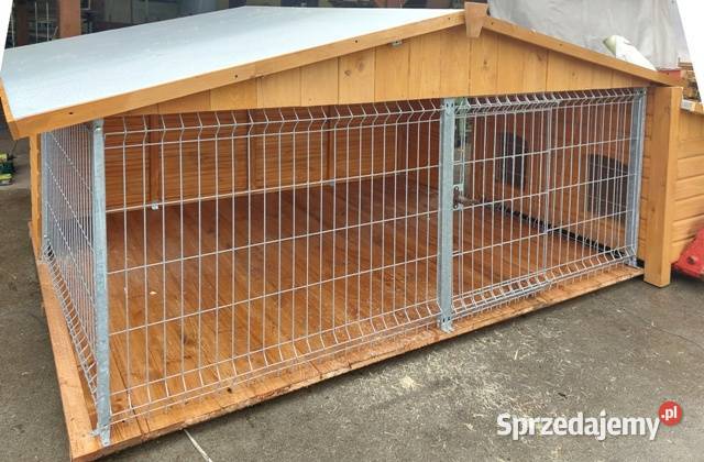 BUDO KOJEC buda kojec boks łódzkie Skierniewice