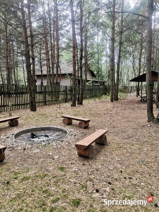 Działka rekreacyjna z domkiem Lipianki jezioro Sprzedaż