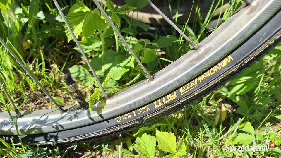 Rower retro Gazelle Koninkluge dieren Konin