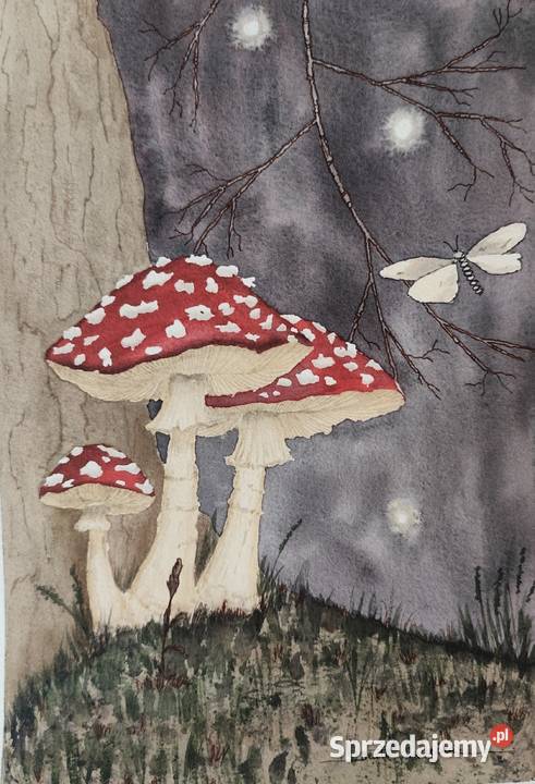 Akwarela Akwarelka Obraz pt Muchomorki Malarstwo Osobnica sprzedam