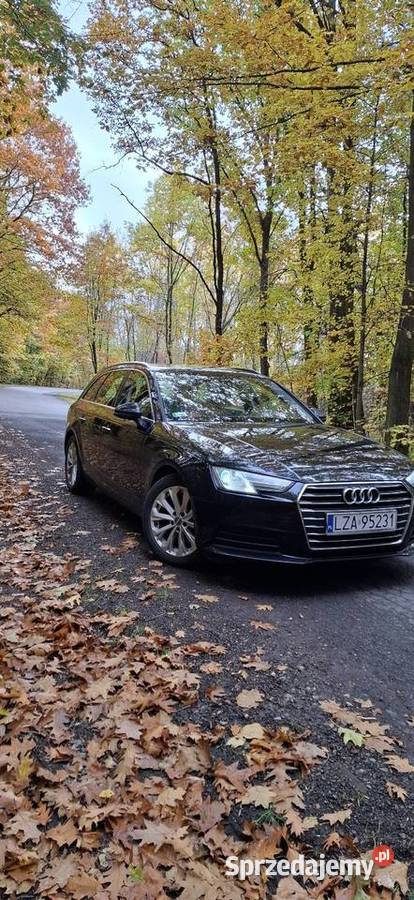 Audi a4 b9 20 tdi 150 Zamość sprzedam