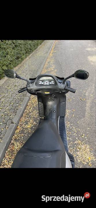 Honda Pantheon 125 2T Honda Warszawa