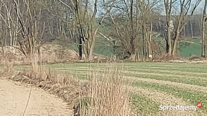 Udział w prawie własności do nieruchomości 17zł/m2 Wieprz