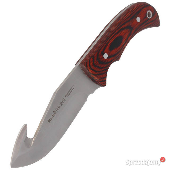 Nóż Muela Bisonte11R Pakka Wood Satin X50CrMoV15 mazowieckie Warszawa