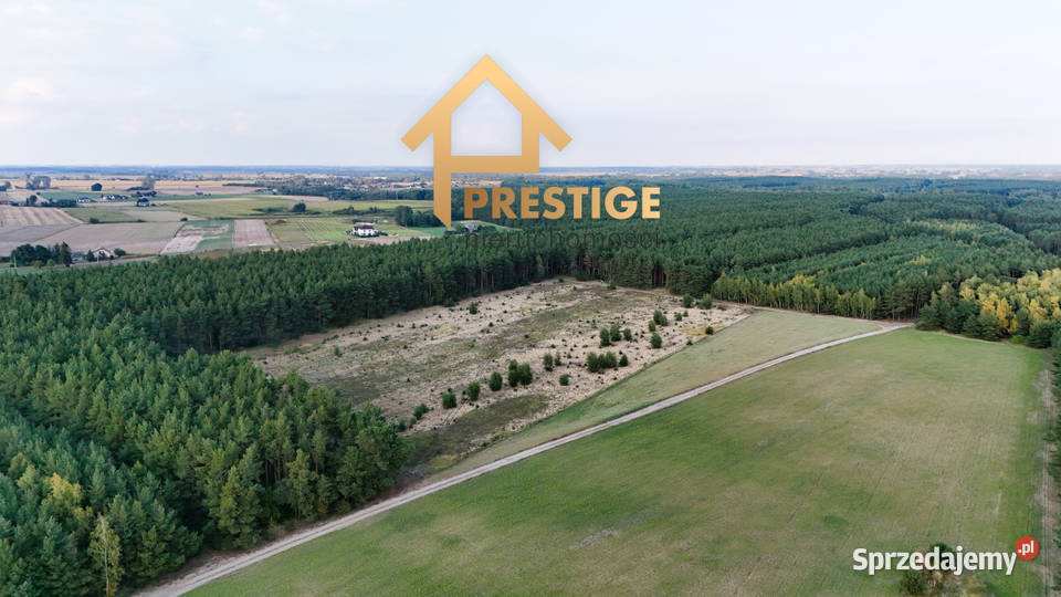 Kompleks działek budowlanych 145ha lesie 900m Żółwieniec