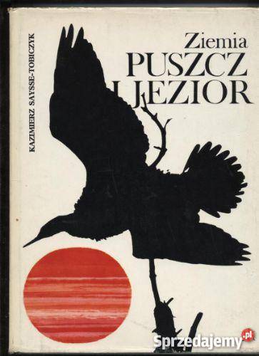 Ziemia puszcz i jezior Kultura i Rozrywka zachodniopomorskie Szczecin