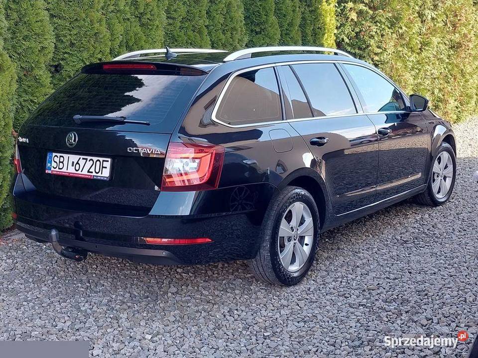 Skoda Octavia 20 TDI Elegance DSG 150 2019r Kaniów