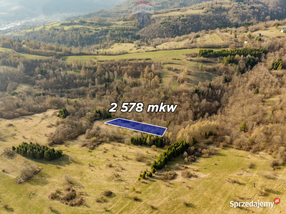 Szukasz prywatnego azylu w sercu Pienin Sprzedaż Szczawnica