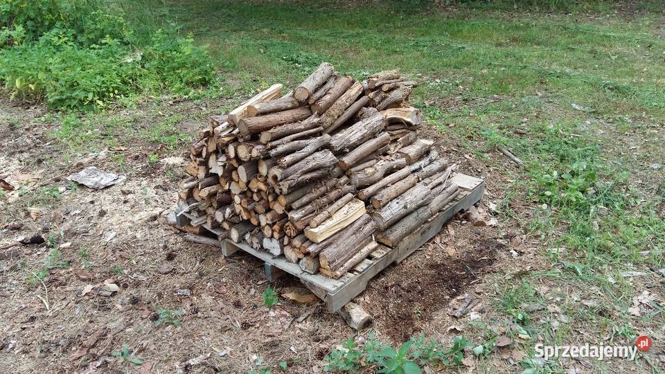 Jałowiec drewno jałowca aromatyczny do wędzenia sprzedam