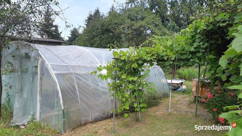 Ogródek działkowy ROD 300 m2 Białołęka Warszawa