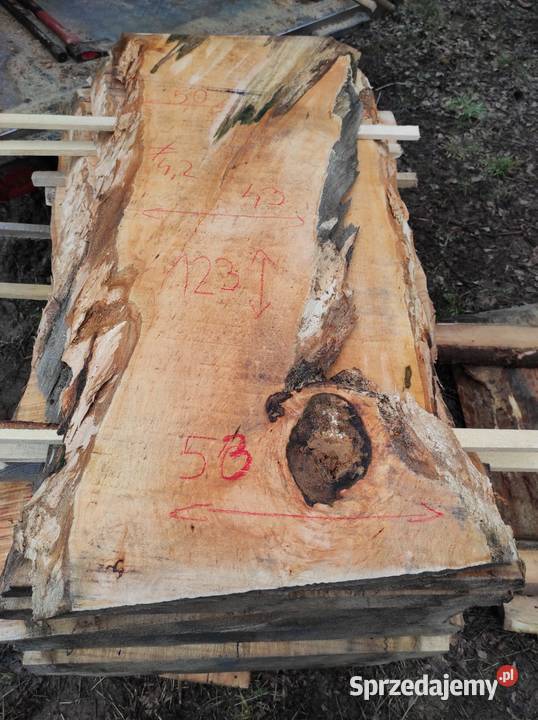 Monolit 124x80x10 wiąz dąb buk jesion stolik Przysucha